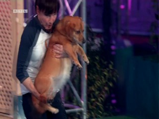Top Dog Germany 16.07.2022