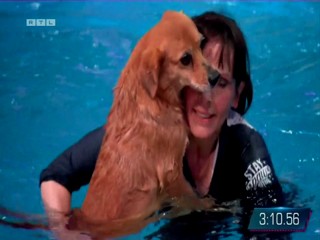 Top Dog Germany 16.07.2022