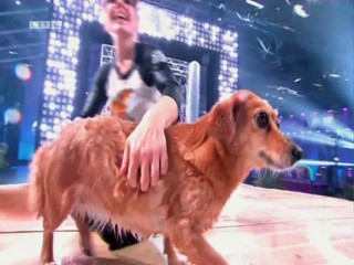 Top Dog Germany 16.07.2022