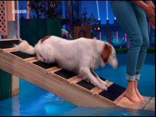 Top Dog Germany VIP 29.07.2022