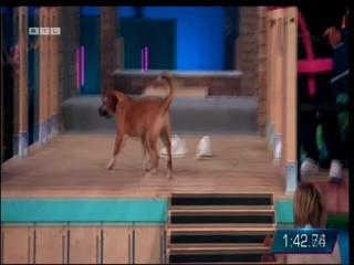 Top Dog Germany VIP 29.07.2022