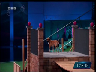 Top Dog Germany VIP 29.07.2022