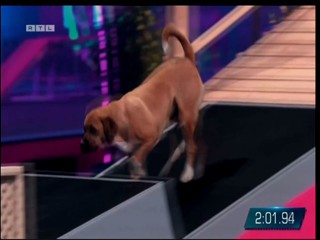 Top Dog Germany VIP 29.07.2022