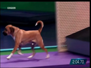 Top Dog Germany VIP 29.07.2022