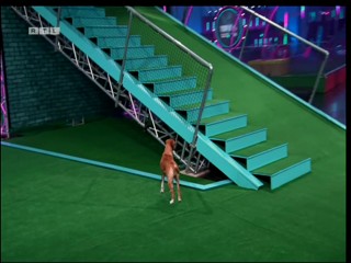 Top Dog Germany VIP 29.07.2022