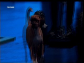 Top Dog Germany VIP 29.07.2022