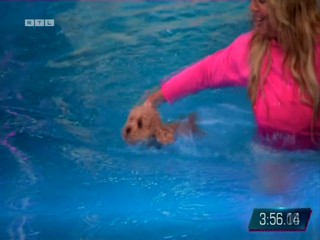 Top Dog Germany VIP 29.07.2022