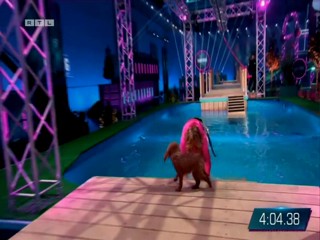 Top Dog Germany VIP 29.07.2022