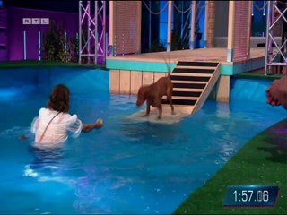 Top dog Germany 29.07.2022