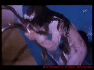 Revenge of the Living Dead Girls