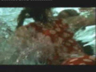 German TV Pool Party