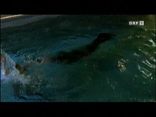 Der Bulle von TÃ¶lz