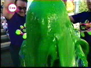 STL - Jessica Gatorade Sliming