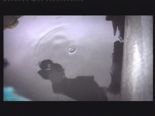 Testing laptops in a Dunk Tank