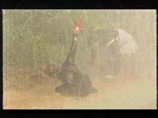 I'm a Celebrity - Hell Hill 01