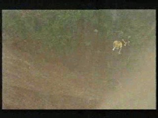 I'm a Celebrity - Hell Hill 01