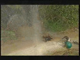 I'm a Celebrity - Hell Hill 2