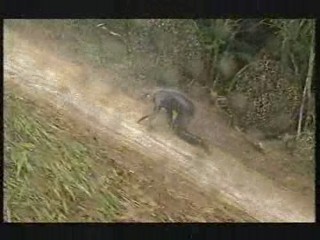 I'm a Celebrity - Hell Hill 2