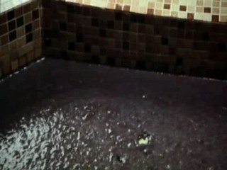 Big Momma's House 2 (2006)