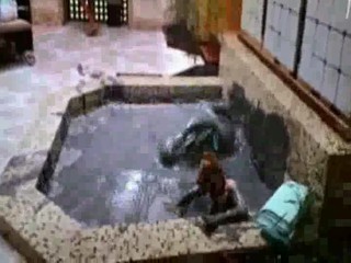 Big Momma's House 2 (2006)