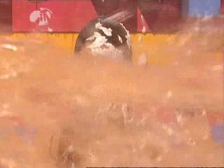 MOM - Thank You Desk