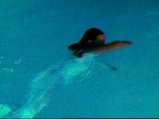 Brothers & Sisters (2006)