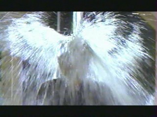 Les Hommes préfèrent les grosses