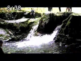 Japanese variety show