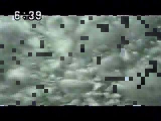 Japanese variety show