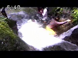 Japanese variety show