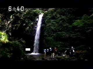 Japanese variety show