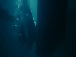 The Amityville Horror