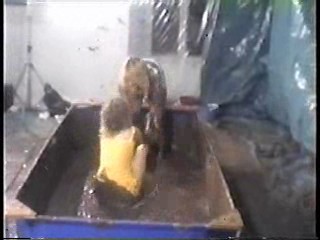 Aquantics wam convention - Wales 1991