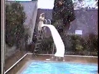 Aquantics convention - 1991 wet shoot