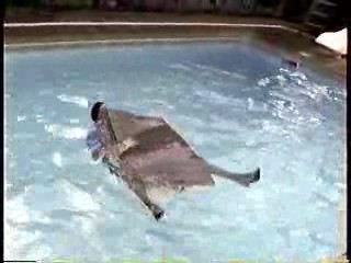 Aquantic 1990 - behind the scenes