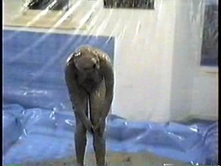 Aquantic 1991 - behind the scenes