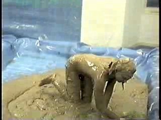 Aquantic 1991 - behind the scenes