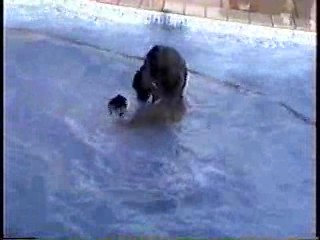 Aquantic 1991 - behind the scenes