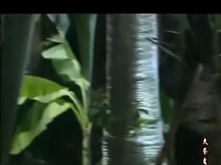 Chinese girl wetlook