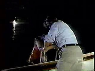 Mexican TV Drama,  Melrose Place,  Boxing Helena