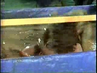 U.S. tv drama,  Silk Stalkings,  Power Rangers,  Mexican Movie