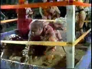 U.S. tv drama,  Silk Stalkings,  Power Rangers,  Mexican Movie