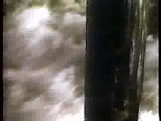 U.S. Sitcom,  Baywatch