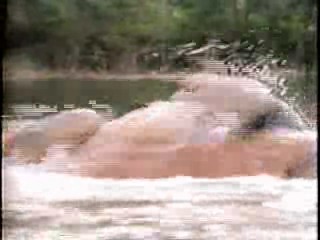 Thunder in Paradise,  Big Girls Don't Cry - They Get Even.