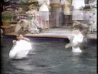 Heaven Help Us,  The Nanny,  Danielle Steele's Family Album.