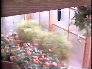 A House in the Hills