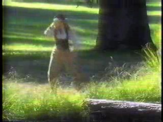 Heaven Help Us,  Wild West Showdown