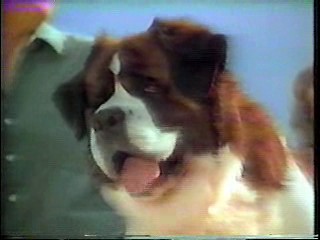 Lucy Rap,  Beethoven's 2nd