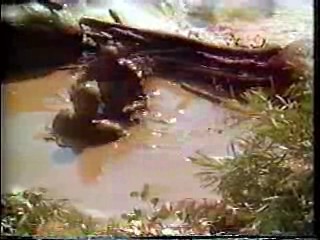 Lucy Rap,  Beethoven's 2nd