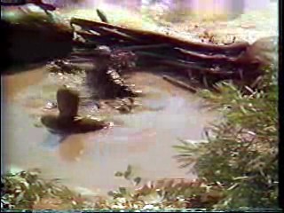 Lucy Rap,  Beethoven's 2nd